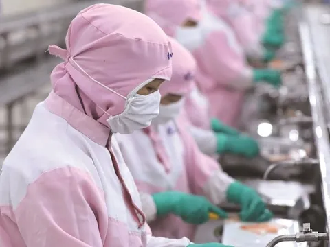Tham gia ‘sân chơi’ FTA: Doanh nghiệp vẫn bỏ qua nhiều cơ hội