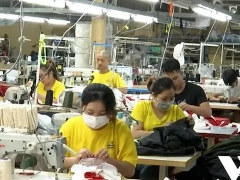 Lao động trẻ mất việc: Nhiều hệ lụy về an sinh xã hội