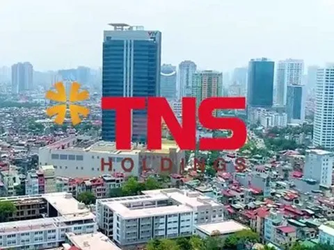 Lãnh đạo cấp cao TNS Holdings đồng loạt từ nhiệm