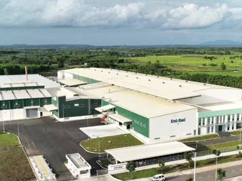 Việt Nam có nhà máy lớn nhất châu Á sản xuất thức ăn chăn nuôi từ Ruồi lính đen