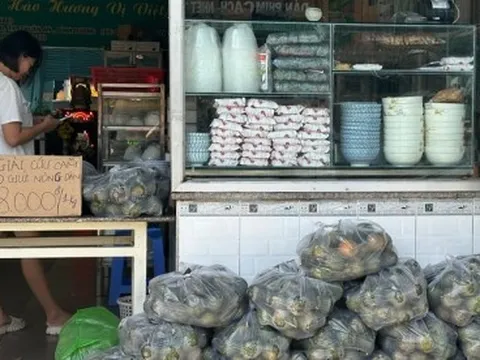 Nông dân ở Bình Dương gặp khó vì thương lái không thu mua cam sành
