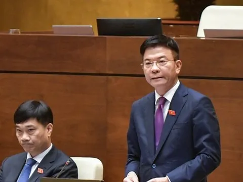 Sau loạt vụ đấu giá 'trên trời' rồi bỏ cọc, sẽ xem xét bổ sung chế tài