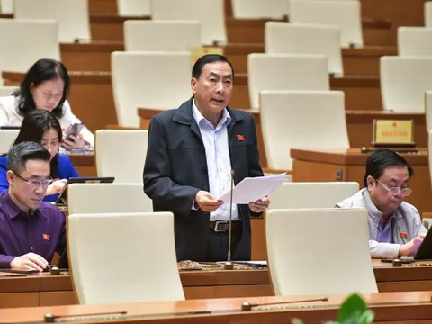 Đại biểu QH: Các vụ đấu giá biển số xe, mỏ cát... làm lũng đoạn, rối thị trường