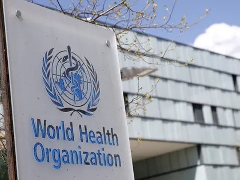 Cảnh báo mới của WHO về đậu mùa khỉ