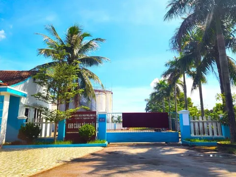 Doanh nghiệp lấn chiếm hơn gần 500m2 đất phi nông nghiệp ở Quảng Bình