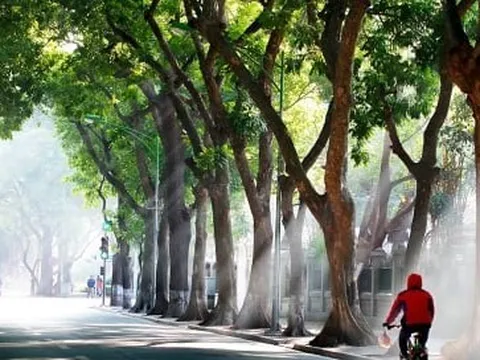 Vì sao lập đông gần 1 tháng, thời tiết vẫn nóng như mùa hè?