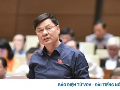 ĐBQH hiến kế “siết vòng kim cô” để loại bỏ tình trạng bỏ cọc khi đấu giá tài sản