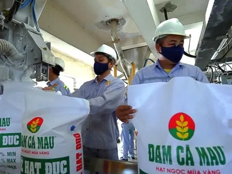 Đạm Cà Mau ước tính lợi nhuận 2023 giảm 78% so với cùng kỳ, dự kiến chi 25 triệu USD mua lại công ty Phân bón Hàn - Việt