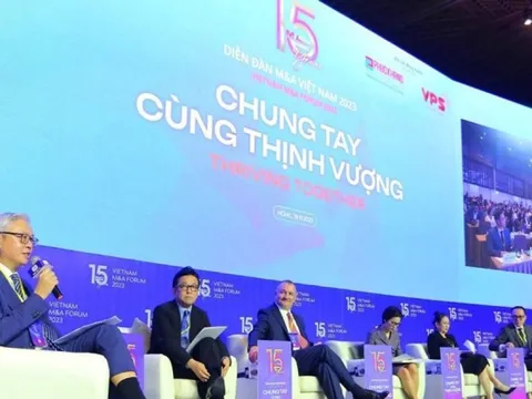 Thị trường M&A "nguội lạnh", cơ hội để doanh nghiệp nội tái cấu trúc?