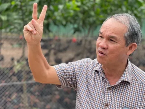 HAGL lại công bố danh tính NĐT chiến lược mới: ThaiGroup thay thế Công ty QLQ Việt Cát rót vào 520 tỷ đồng