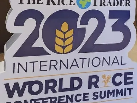 Lại lùm xùm quanh giải "gạo ngon nhất thế giới"