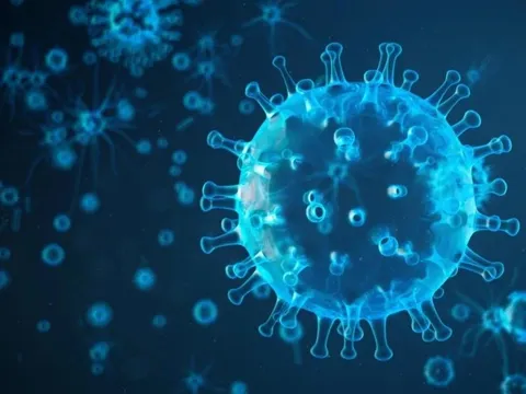 Cúm độc lực cao tái xuất ở Campuchia, 1 bệnh nhân đã tử vong