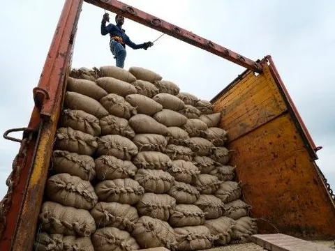 Vừa đoạt giải ngon nhất thế giới, giá xuất khẩu ‘hạt ngọc trời’ của Việt Nam tăng sốc ra sao kể từ đầu năm?