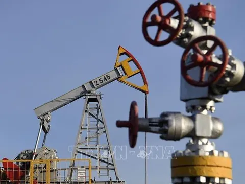 Giá dầu có thể tăng lên 100 USD/thùng vào năm 2024