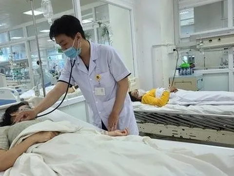 Đắk Lắk: Hàng trăm người dân nhập viện vì bị rắn độc tấn công