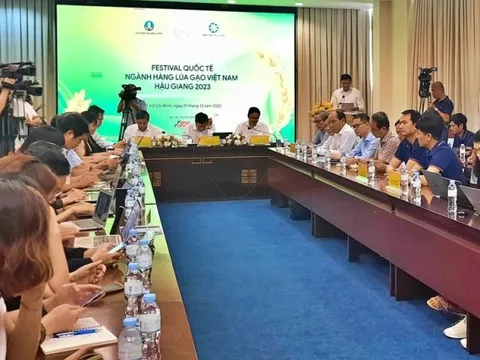 Tổ chức Festival lúa gạo để đưa hạt gạo Việt vươn tầm thế giới