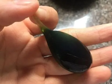 Cụ bà ngộ độc nặng, phải lọc máu vì nuốt mật cá trắm nấu chín tới