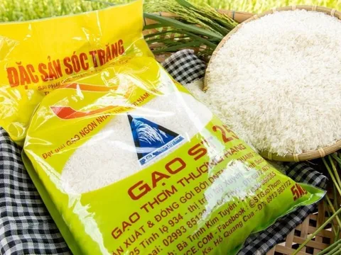 Loại gạo giúp Việt Nam đạt giải "Gạo ngon nhất thế giới 2023"