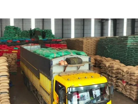 Doanh nghiệp xuất khẩu nông sản tăng trưởng ấn tượng