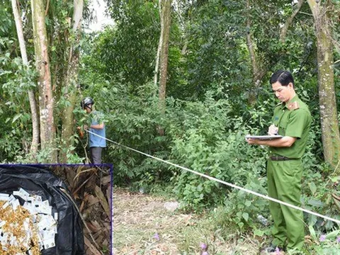 Vụ dùng súng cướp tiệm vàng ở Trà Vinh: Thu giữ hơn 80 chỉ vàng trong bụi cây