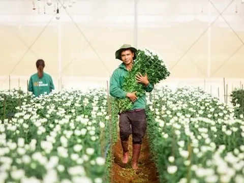 PAN Farm phát hành lô trái phiếu thứ 3 trong năm 2023