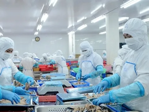 Bà Rịa - Vũng Tàu: GRDP bình quân đầu người đạt 8.078 USD