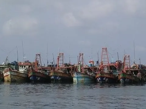 Bà Rịa - Vũng Tàu phạt chủ tàu và thuyền trưởng tàu cá gần 1,4 tỷ đồng