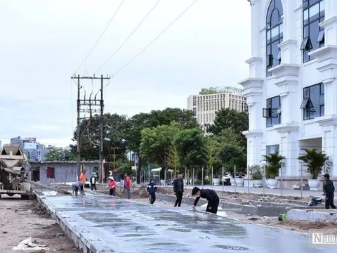 Hải Phòng: Khẩn trương hoàn thành chợ tạm thay thế chợ Tam Bạc bị cháy