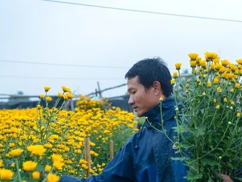 Làng hoa lâu đời nhất miền Bắc tất bật chuẩn bị vào vụ Tết