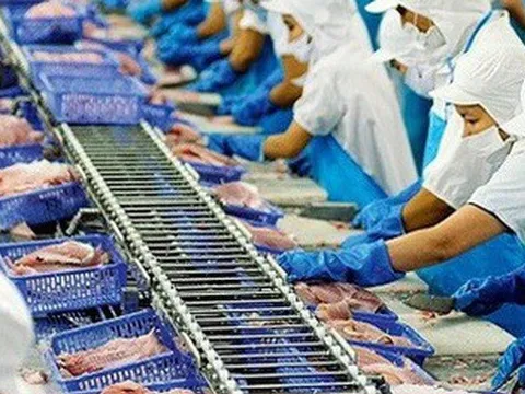 Xuất khẩu thủy sản tăng trưởng dương trở lại