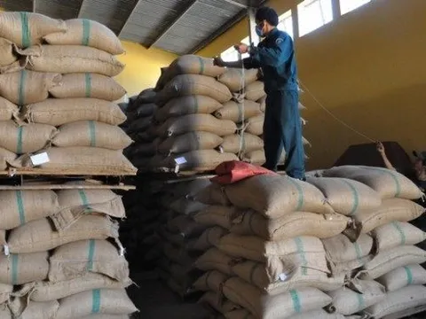 Sau gạo, đường, thế giới lại đối mặt tình trạng thiếu hụt một mặt hàng cực thiết yếu - Việt Nam lập tức được gọi tên