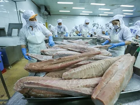 Cá ngừ đóng hộp lên ngôi tại nhiều thị trường trong bối cảnh khó khăn