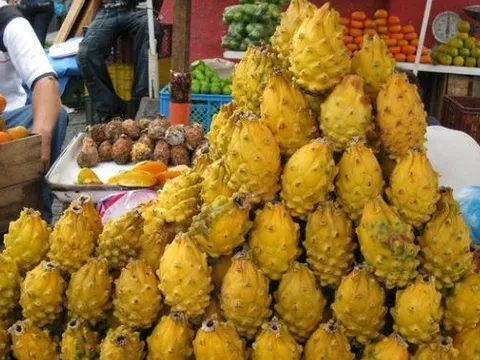 Việt Nam sở hữu 'siêu trái cây' khiến người Trung Quốc phát cuồng: xuất khẩu số 1 thế giới, làm nguyên liệu tạo hot trend gây bão mạng gần đây