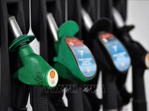 Tại sao nỗ lực cắt giảm sản lượng của OPEC+ không thể ngăn giá dầu lao dốc?