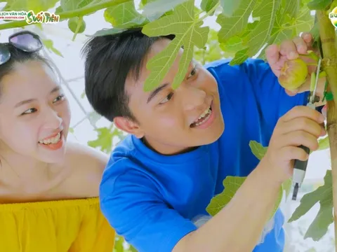 Vì sao Sung Mỹ Suối Tiên Farm được nhiều người chọn mua?