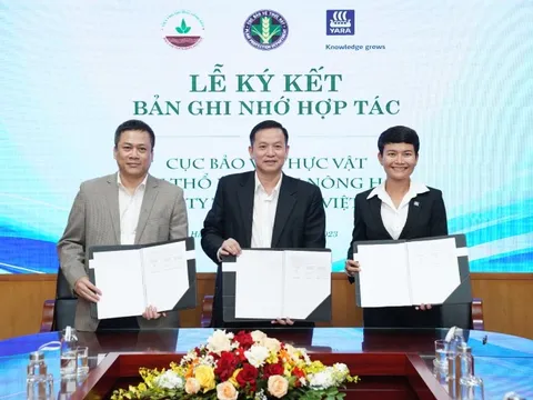 Cục Bảo vệ Thực vật, Viện Thổ Nhưỡng Nông Hóa và Yara Việt Nam cùng hợp tác