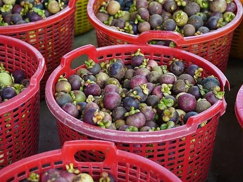 'Nữ hoàng trái cây' của Việt Nam được thị trường thế giới liên tục săn đón: xuất khẩu hàng trăm triệu USD, từng tạo hot trend không kém thanh long