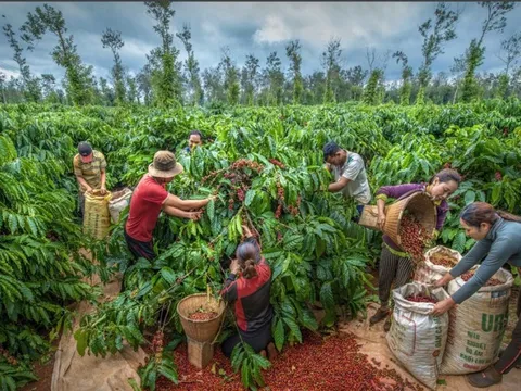 Thủ phủ cà phê Buôn Ma Thuột được Warner Bros. Discovery ca ngợi trên sóng toàn cầu