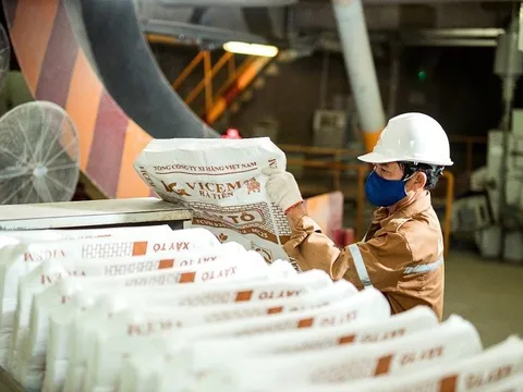 Vicem Hà Tiên có Phó Tổng giám đốc mới