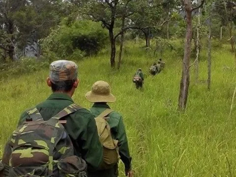 Phía sau những cánh rừng: Nỗi ám ảnh sau vụ cán bộ kiểm lâm bị bắn tử vong (Bài 1)