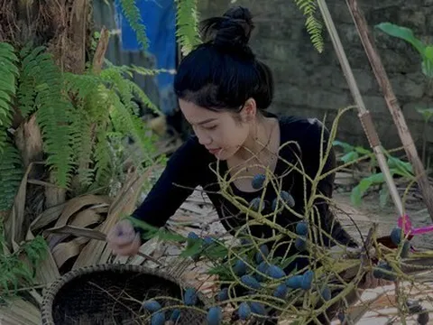 'Lên đời' nhờ loài cây mọc hoang trở thành món đặc sản