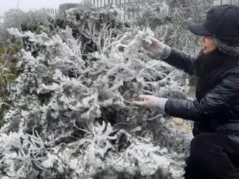 Tuần tới, miền Bắc đón đợt không khí lạnh rất mạnh, có thể xuất hiện băng giá