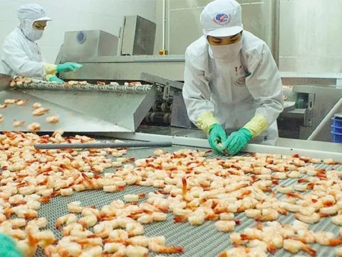 Có 33 mặt hàng đạt kim ngạch xuất khẩu trên 1 tỷ USD, hàng Việt đang ngày càng chinh phục thị trường thế giới
