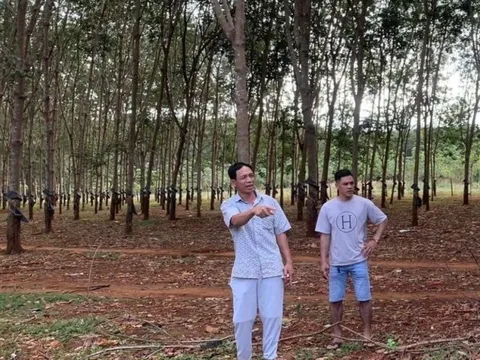 Gia Lai: Người dân hồ hởi hiến đất làm đường