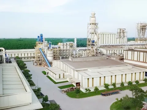 Chân dung ông lớn ngành gỗ Việt duy nhất xuất khẩu được ván sàn cao cấp sang Mỹ, nhà máy hiện đại top 10 thế giới