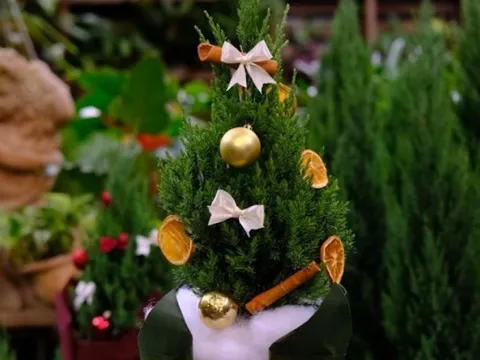 Thị trường cây thông Noel tại TP.HCM: Nơi nhộn nhịp, chỗ đìu hiu