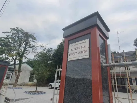 Huế: Một cán bộ kiểm lâm không đến cơ quan, không liên lạc được