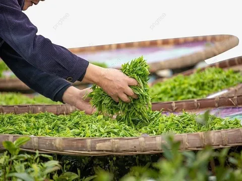 Thức uống đậm bản sắc Việt được các đại gia dầu mỏ mê không lối thoát dù giá đắt đỏ: xuất khẩu tăng hơn 100%, nhiều cường quốc tích cực săn đón