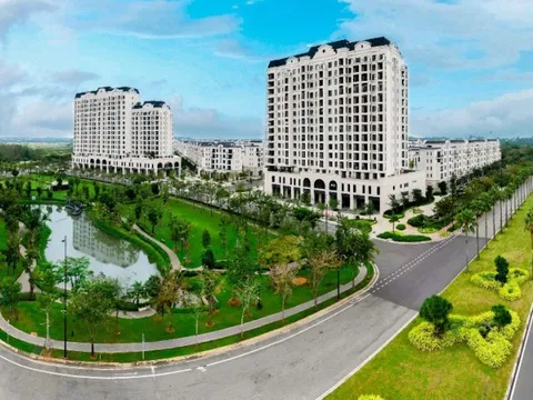 Điểm đến của lễ hội và sự kiện tại đảo tự nhiên Đông Sài Gòn