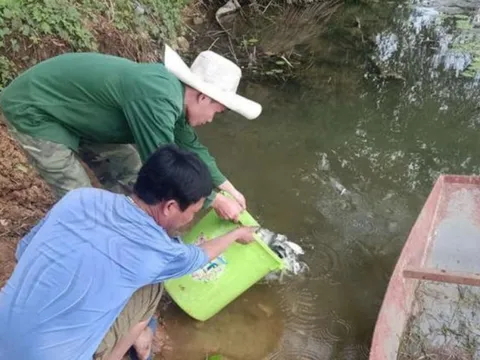 Nghệ An: Làm rõ thông tin người dân “chê” cá giống hỗ trợ sau trận lụt